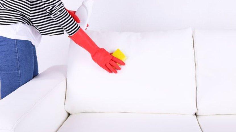 Ilustrasi-seseorang-yang-sedang-membersihkan-sofa.jpg