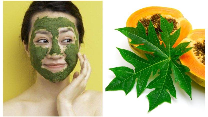 Ilustrasi-wanita-menggunakan-masker-dari-daun-pepaya2.jpg