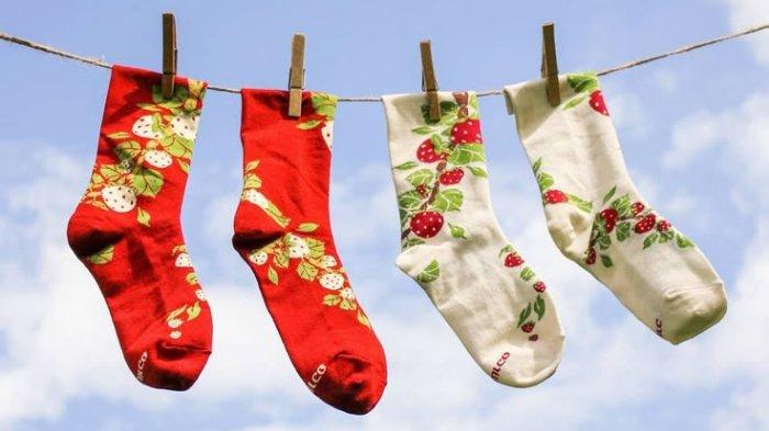 5 Rekomendasi Merek Kaus Kaki Terbaik untuk Aktivitas Harian, Nyaman dan Stylish
