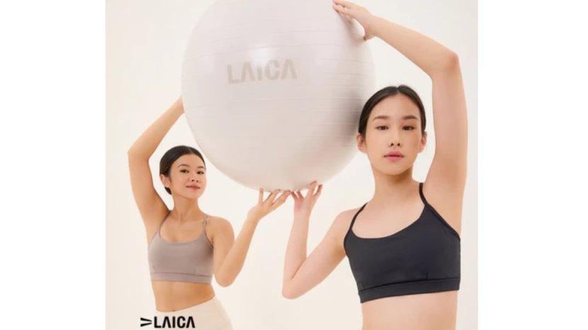 LAICA-Gym-Ball4.jpg