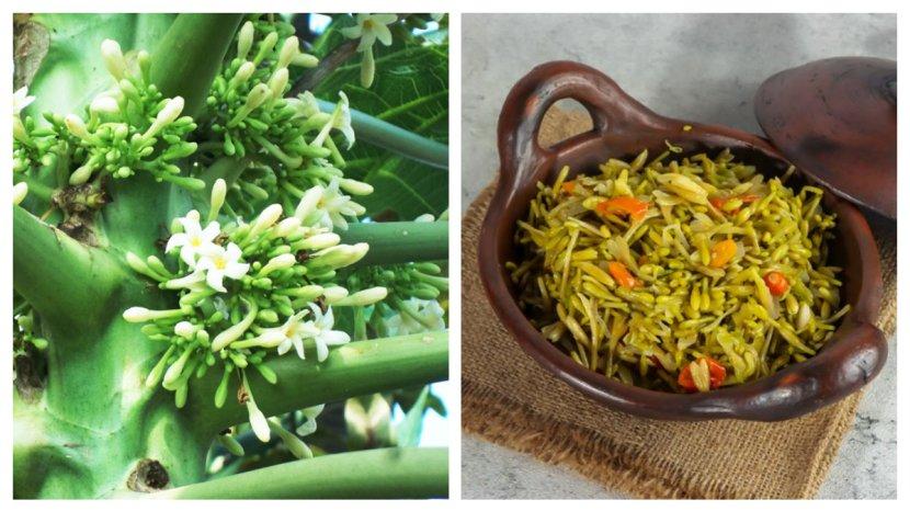 10 Khasiat Rutin Konsumsi Bunga Pepaya, Ampuh Melawan Radikal Bebas