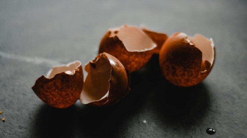 Manfaatkan-Cangkang-Telur.jpg