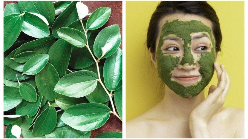 Masker-alami-dari-daun-bidara.jpg
