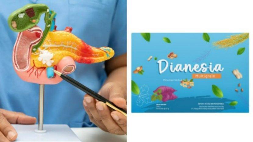 Review Kandungan Dianesia dari Sudut Pandang Fungsi Pankreas