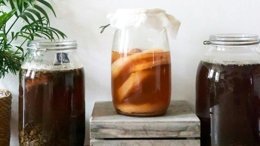 Teh-Kombucha.jpg