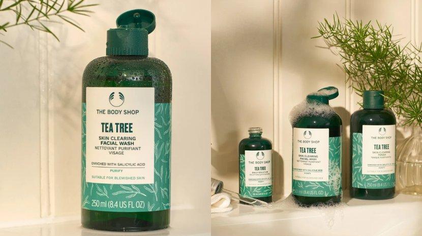 The-Body-Shop-Tea-Tree-Skin-Clearing-Body-Wash-Shower-Gel-dtheth.jpg