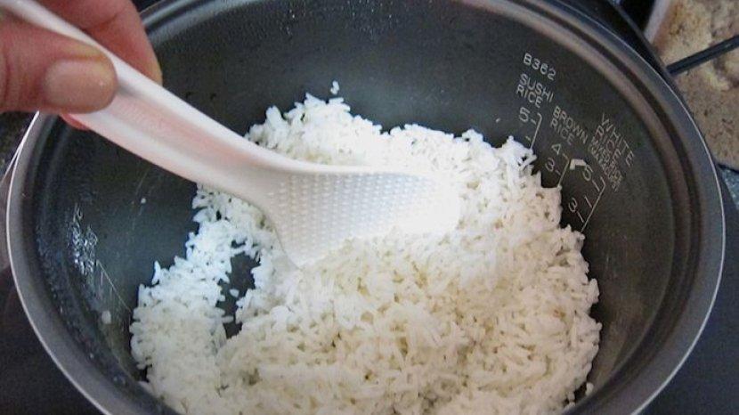 ada-banyak-penyebab-nasi-di-rice-cooker-jadi-cepat-basi.jpg