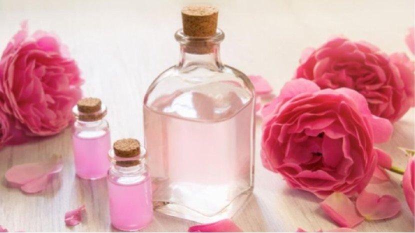 Wajib Tahu, Inilah Manfaat dan Efek Samping Penggunaan Air Mawar