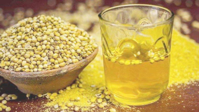 Rutin Minum Air Rendaman Biji Ketumbar dan Dapatkan 6 Khasiat Menakjubkan Bagi Kesehatan Ini