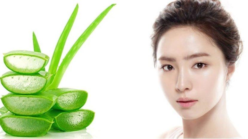 7 Manfaat Aloe Vera yang Kerap jadi Hero Ingredients di Dalam Produk Kecantikan