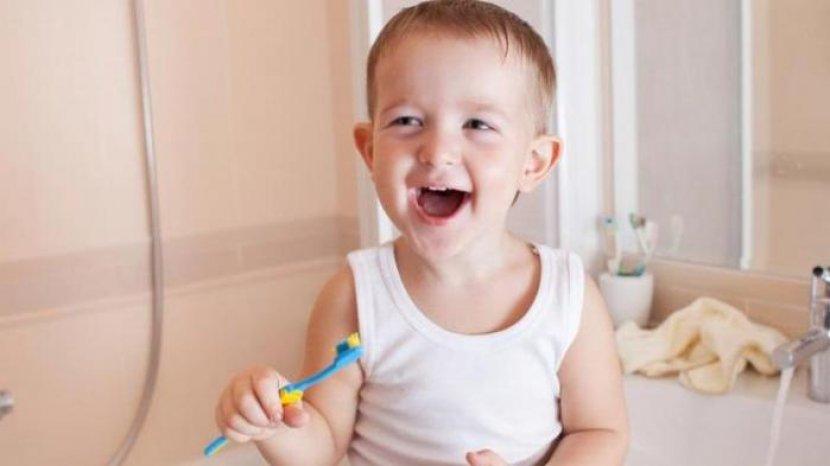 4 Rekomendasi Sikat Gigi Bayi dan Anak Terbaik, Aman dan Nyaman Dipakai si Kecil