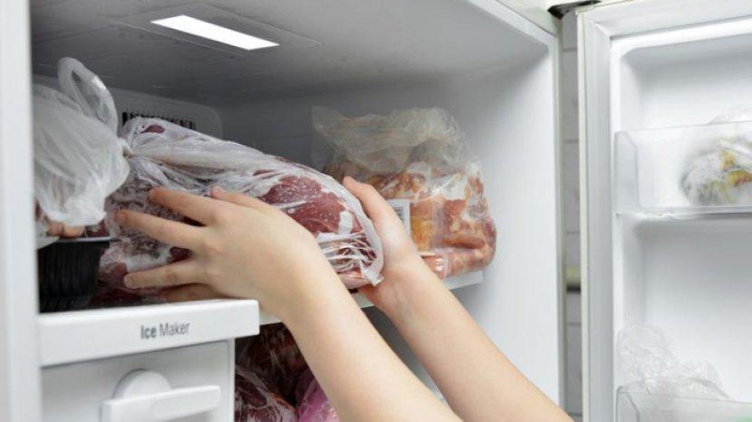 5 Tips Mengatasi Bau Amis pada Freezer yang Bisa Merusak Kualitas Bahan Lain
