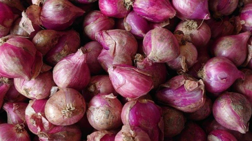 12 Khasiat Menakjubkan Bawang Merah, Ternyata Bukan Sembarang Bumbu Dapur Biasa
