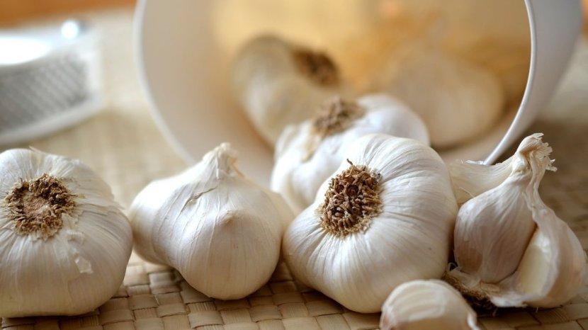 bawang-putih2.jpg