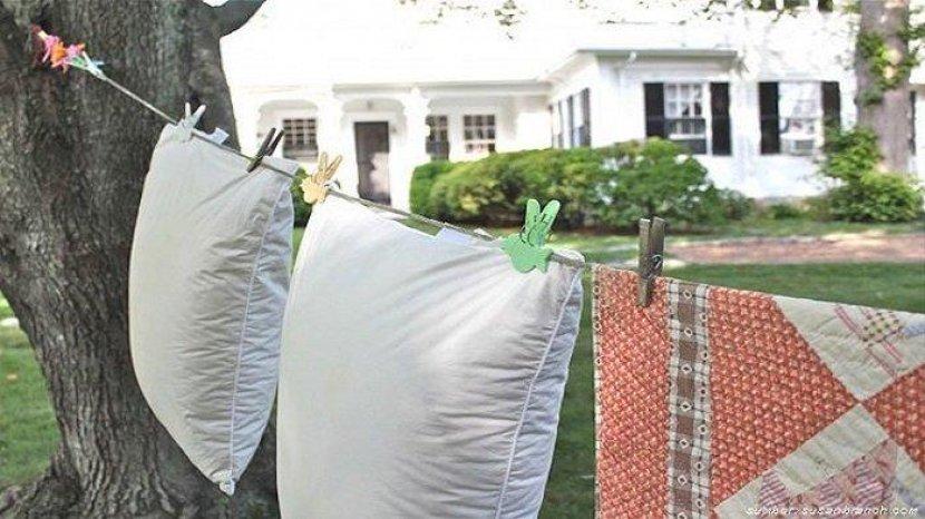Hilangkan Bakteri, 4 Benda di Rumah Ini Harus Sering Kamu Jemur di Bawah Terik Matahari