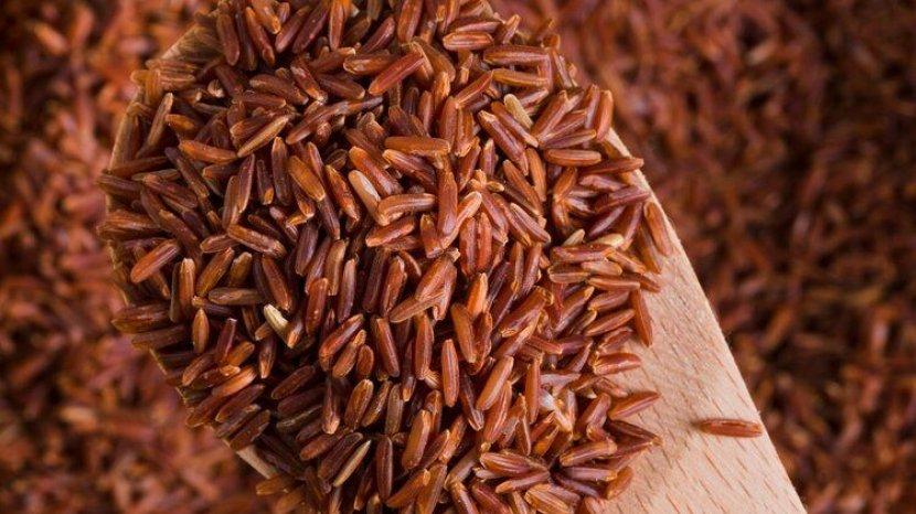 Tak Hanya Baik untuk Penderita Diabetes, Ini 9 Manfaat Beras Merah untuk Kesehatan
