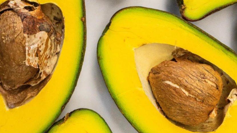 Sepele dan Sering Dibuang, Yuk Kenali Manfaat Luar Biasa Biji Alpukat untuk Kecantikan dan Kesehatan