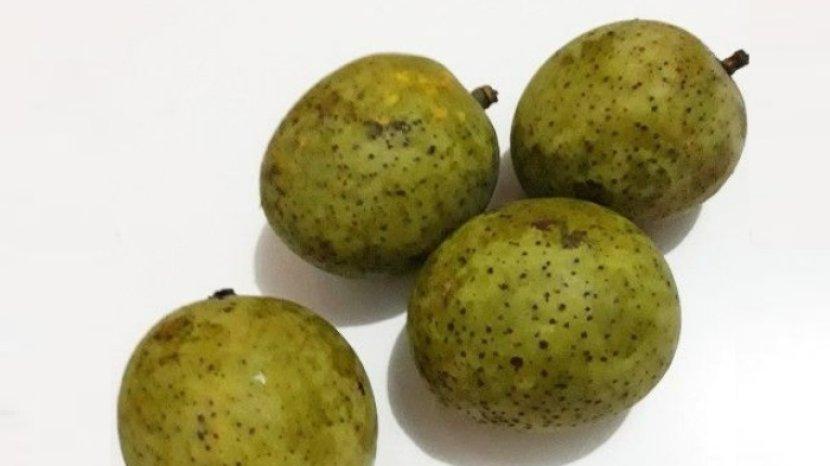8 Khasiat Buah Bacang bagi Tubuh Ternyata Menakjubkan