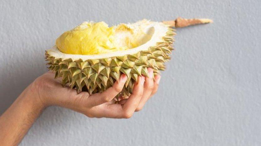 Tak Hanya Buahnya, Biji Durian Ternyata Bisa Dikonsumsi dan Punya 7 Khasiat Ini untuk Tubuh