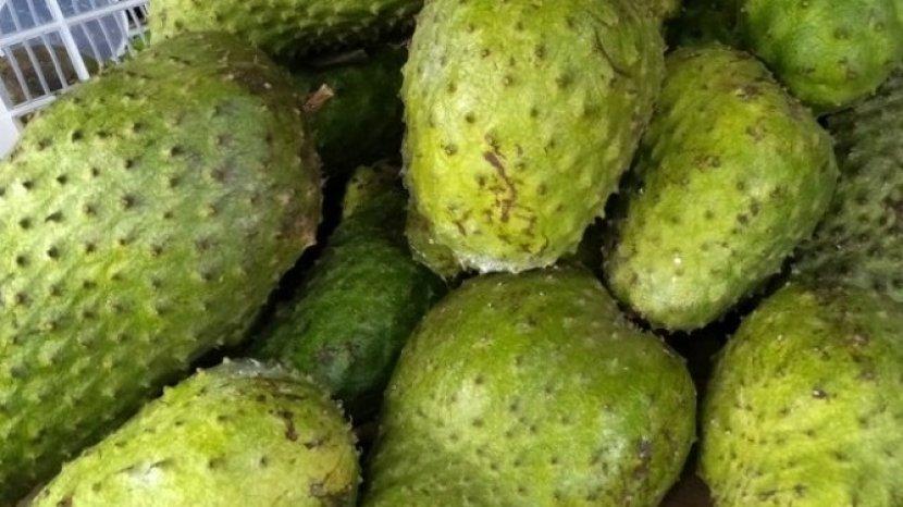 10 Khasiat Buah Sirsak untuk Kesehatan dan Kecantikan jika Memakannya Secara Rutin