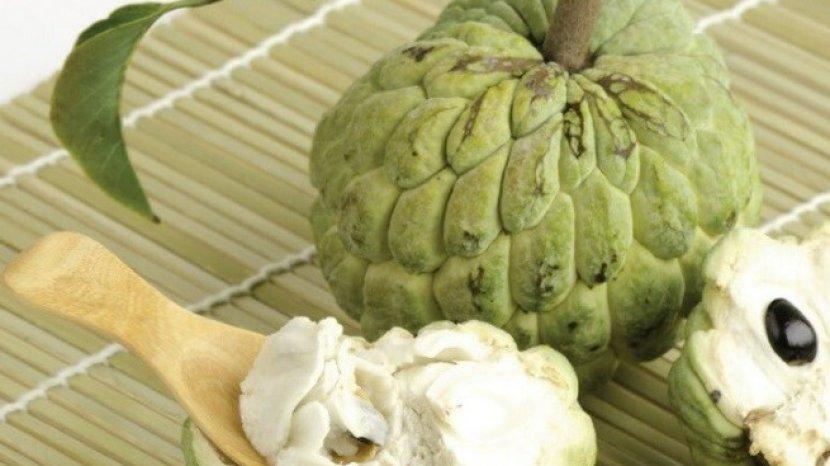 9 Manfaat Rutin Makan Buah Srikaya, Tubuh Sehat, Kuat, dan Kulit Terjaga Kecantikannya