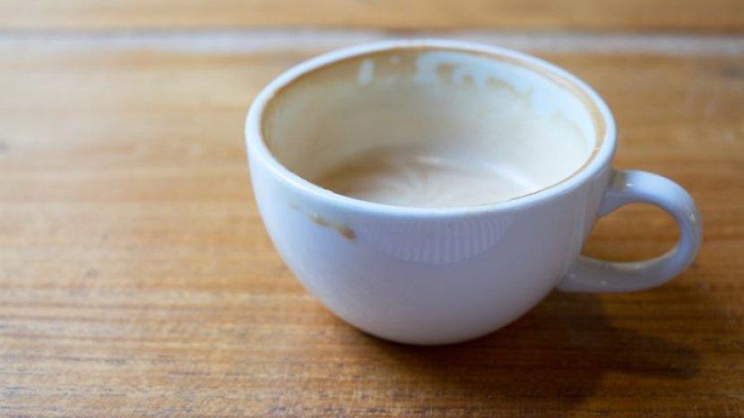 cangkir-dengan-noda-teh-dan-kopi-membandel-bisa-kamu-bersihkan-menggunakan-berbagai-bahan-alami.jpg
