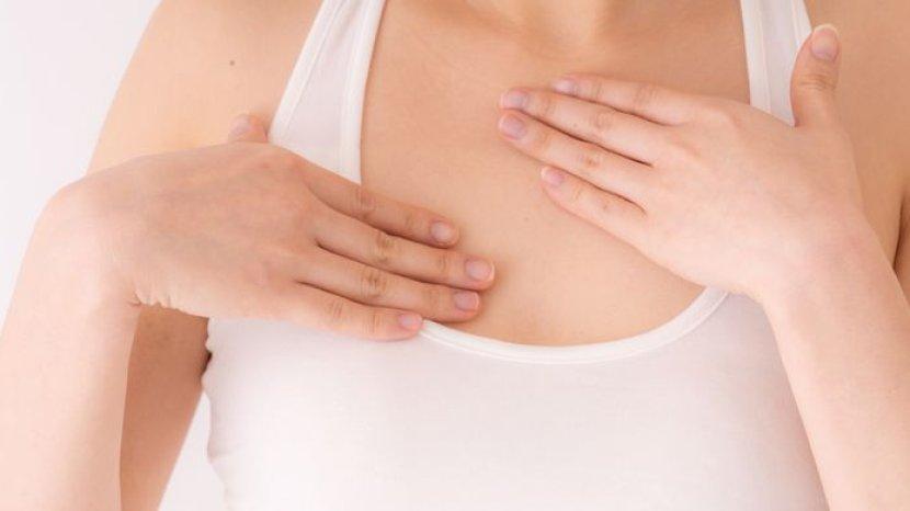 17 Daftar Breast Serum BPOM Terbaik Lengkap dengan Harga, Solusi Cegah Payudara Kendur Sejak Dini