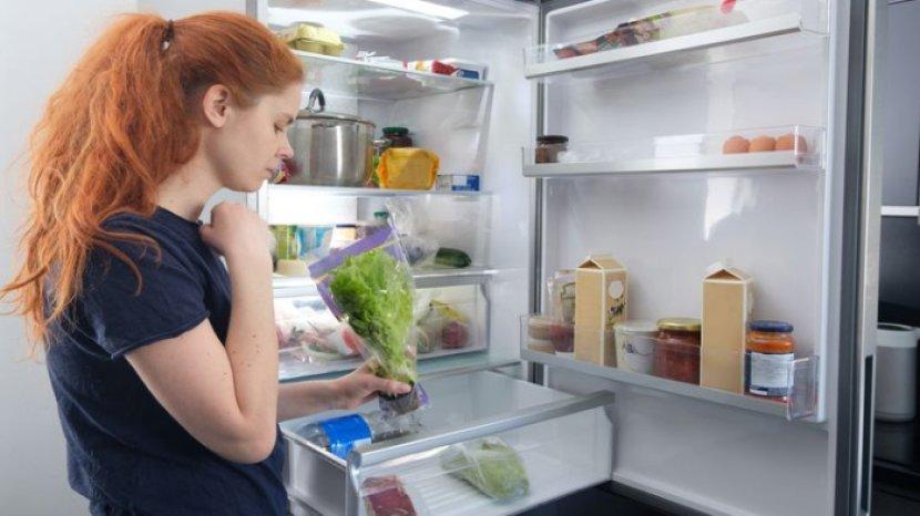 7 Tips Mengatasi Bau Tidak Sedap di Dalam Kulkas, Bahan Alami Solusinya!