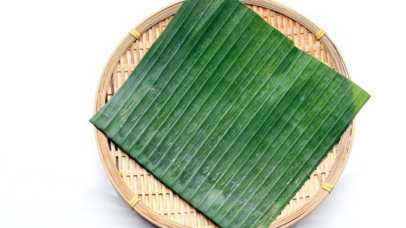 8 Khasiat Menakjubkan Daun Pisang, Bisa Jadi Ramuan Herbal Alami Harianmu