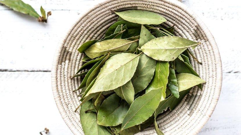 daun-salam-jadi-salah-satu-obat-tradisional-mengatasi-kolesterol.jpg