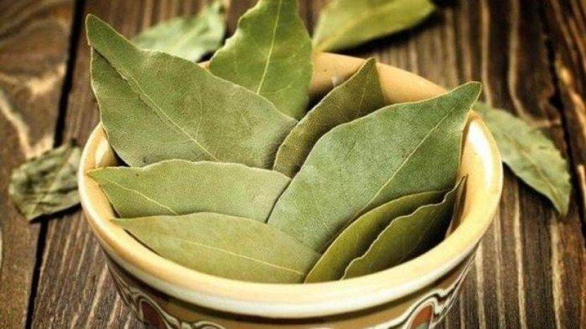 10 Manfaat Kesehatan Ini Bisa Didapatkan Jika Rutin Minum Air Rebusan Daun Salam