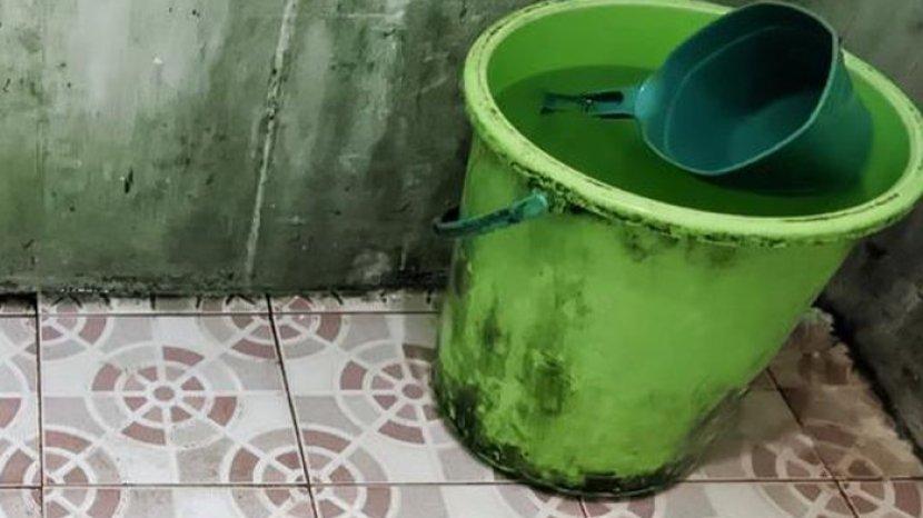 10 Cara Mudah Membersihkan Ember Mandi dari Noda Lumut