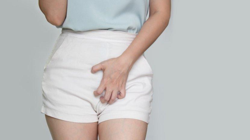 MISS V Gatal dan Iritasi karena Pembalut? Segera Atasi dengan 8 Bahan Alami Ini