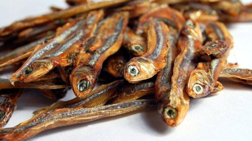 Cobalah Rutin Makan Ikan Teri Tiap Pagi, Rasakan 6 Manfaat Kesehatan Ini