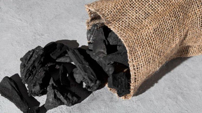 5 Manfaat Arang untuk Keperluan Rumah Tangga, Bisa Dijadikan Media Tanam dan Penetral Bau