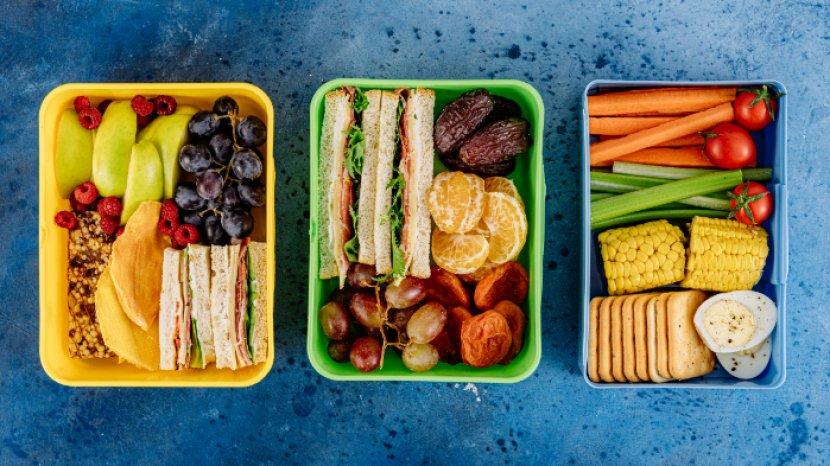 Tips Bikin Bekal Sehat dan Praktis untuk Perjalanan Mudik