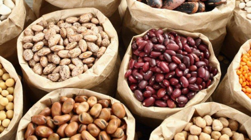 ilustrasi-berbagai-kacang-kacangan-dan-biji-bijian.jpg