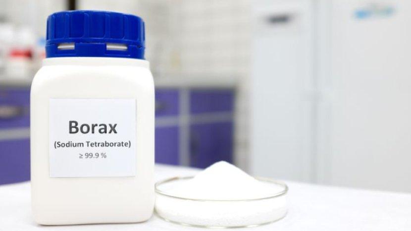 5 Manfaat Boraks untuk Keperluan Rumah Tangga, Termasuk Cegah Jamur di Kamar Mandi