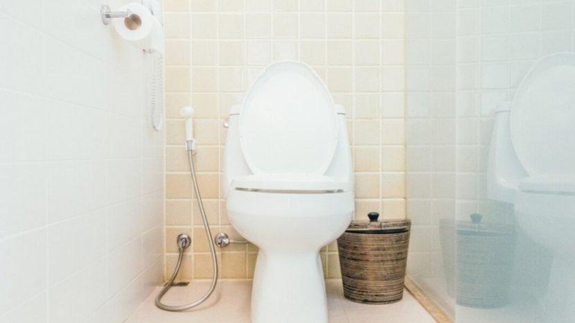 Daftar Harga Kloset Duduk Rp 1 Jutaan ke Bawah, Bikin Toilet Lebih Bersih dan Praktis