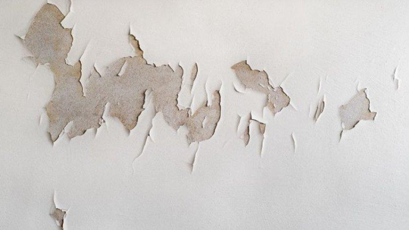 7 Tips Mengatasi Dinding Lembap dan Mengelupas Secara Tepat serta Efektif, Bisa Dilakukan Sendiri