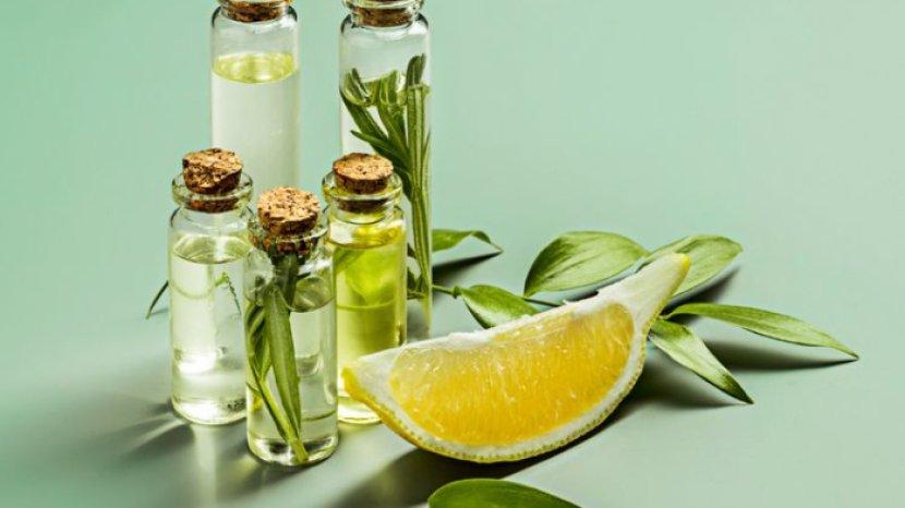 5 Rekomendasi Essential Oil, Wujudkan Ruangan yang Lebih Segar dan Sehat