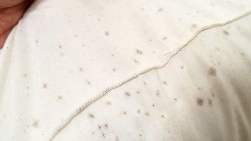 5 Tips Mengatasi Jamur di Baju Putih, Efektif dalam Sekali Bilas