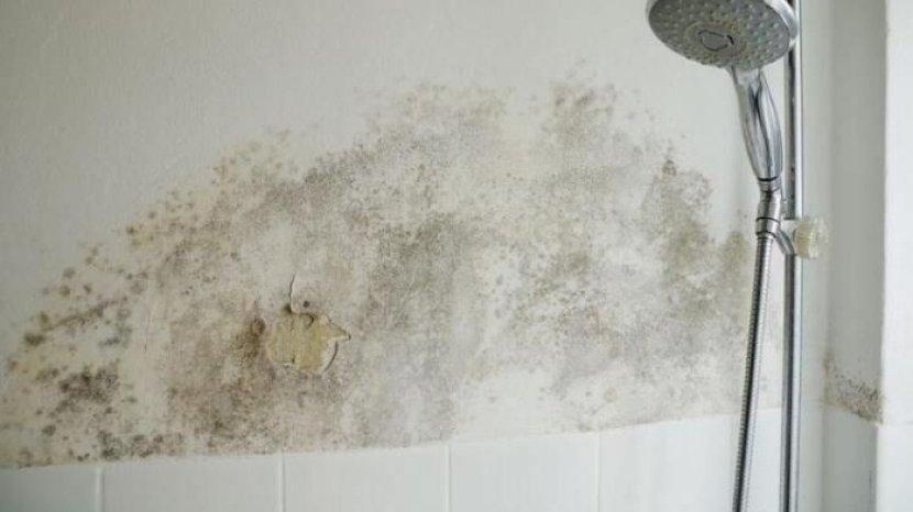 7 Tips Mencegah Munculnya Jamur di Kamar Mandi, Kembali Bersih dan Higienis