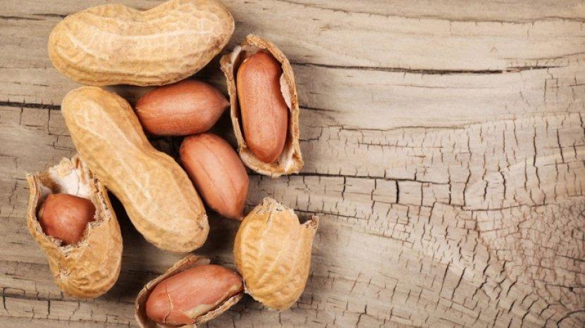 7 Tips Menyimpan Kacang Tanah Supaya Tidak Mudah Tengik dan Berjamur, Tambahkan Serai di Dalam Wadah