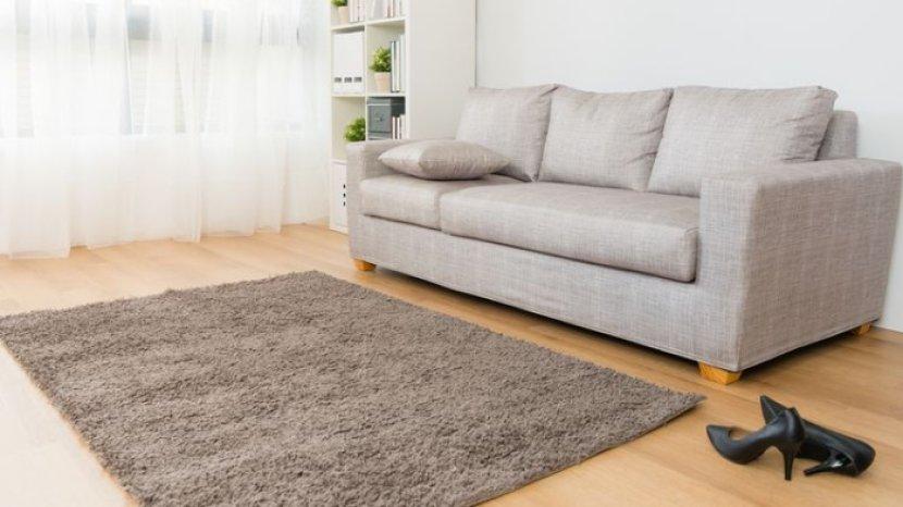 5 Tips Membersihkan Karpet Bulu di Rumah Tanpa Khawatir Merusak Kelembutannya