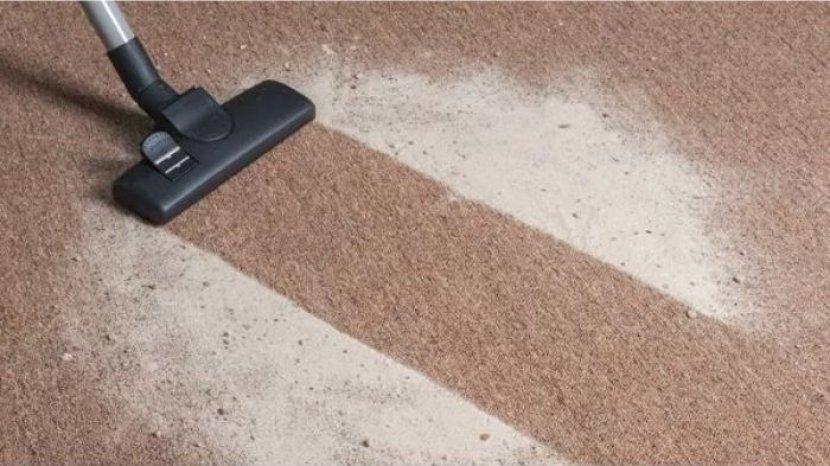 5 Rekomendasi Vacuum Cleaner Terlaris Tahun 2023, Kemudahan Membersihkan Debu dan Partikel Kecil