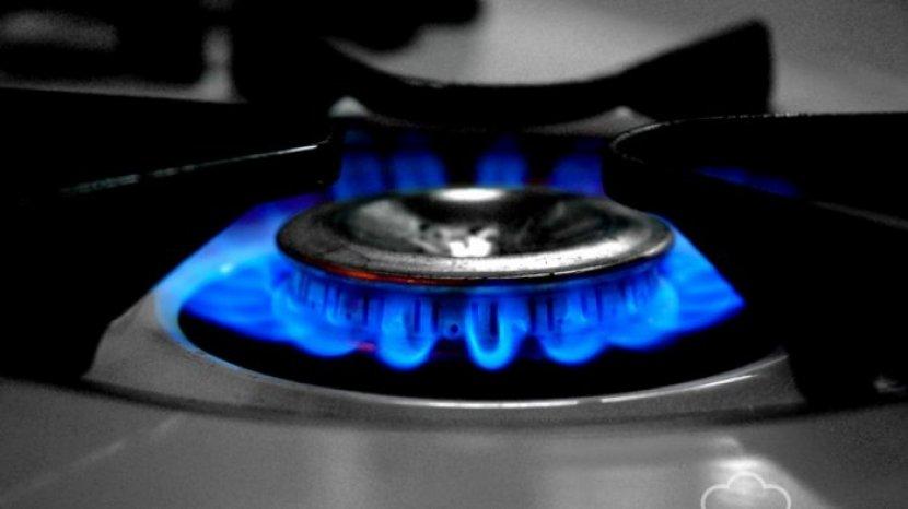 Hemat Ruang dan Konsumsi Gas, 5 Kompor 1 Tungku Handal Rinnai Cocok untuk Dapur Mungil
