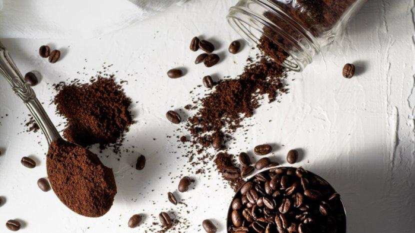 Rekomendasi 5 Grinder Berkualitas untuk Menghasilkan Bubuk Kopi dengan Tekstur Sesuai Keinginan