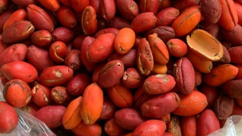 Belum Banyak yang Tahu, Kulit Melinjo Punya 7 Khasiat Ini Jika Dikonsumsi Rutin