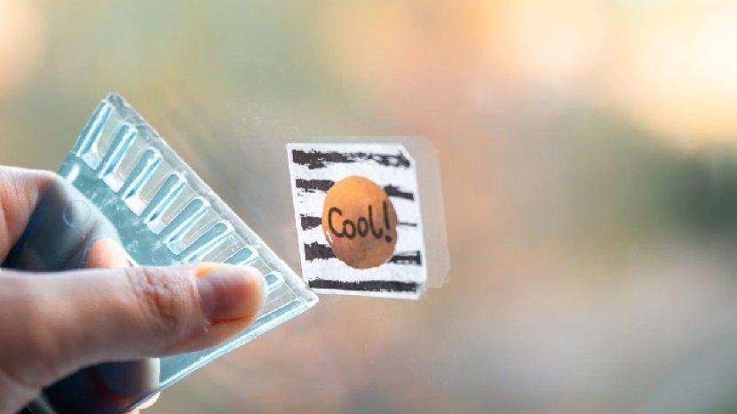 Cara Mudah Melepas Stiker pada Permukaan Kaca Rumah, Aman Tanpa Tinggalkan Bekas